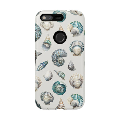 Sea Shells