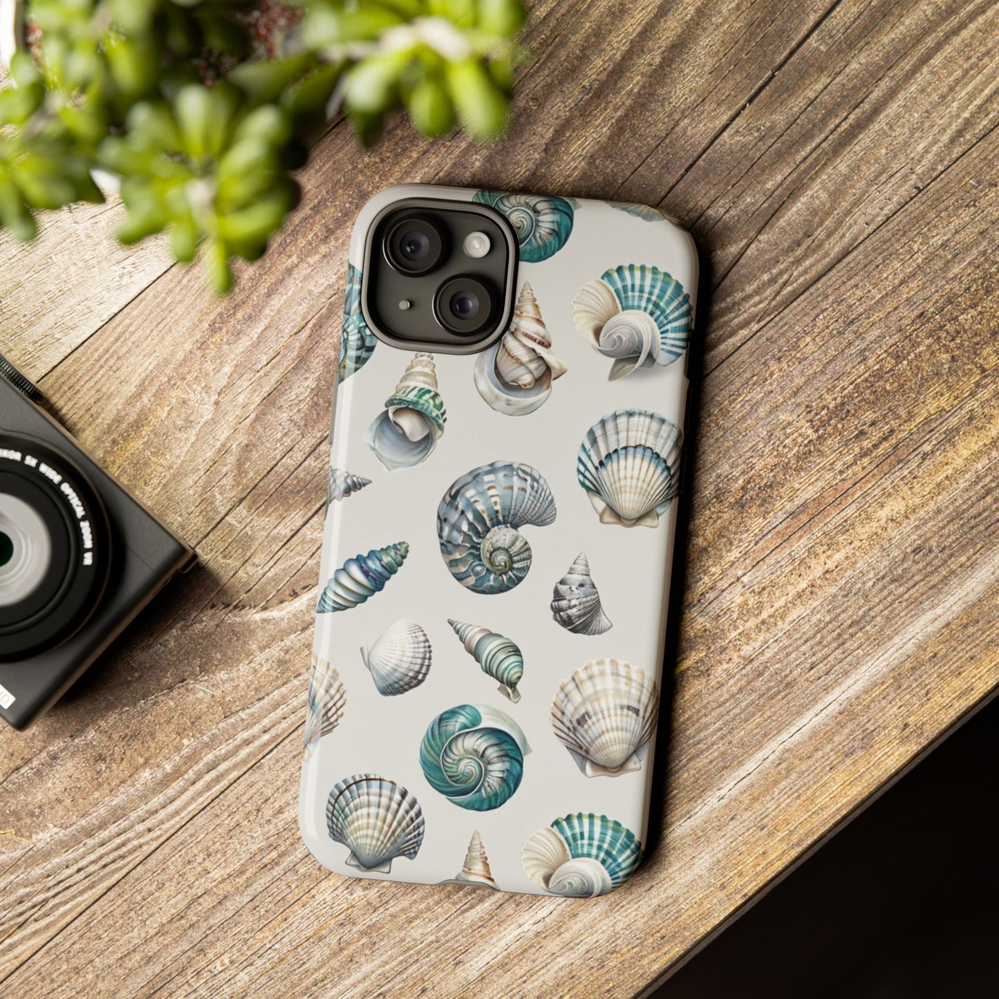 Sea Shells