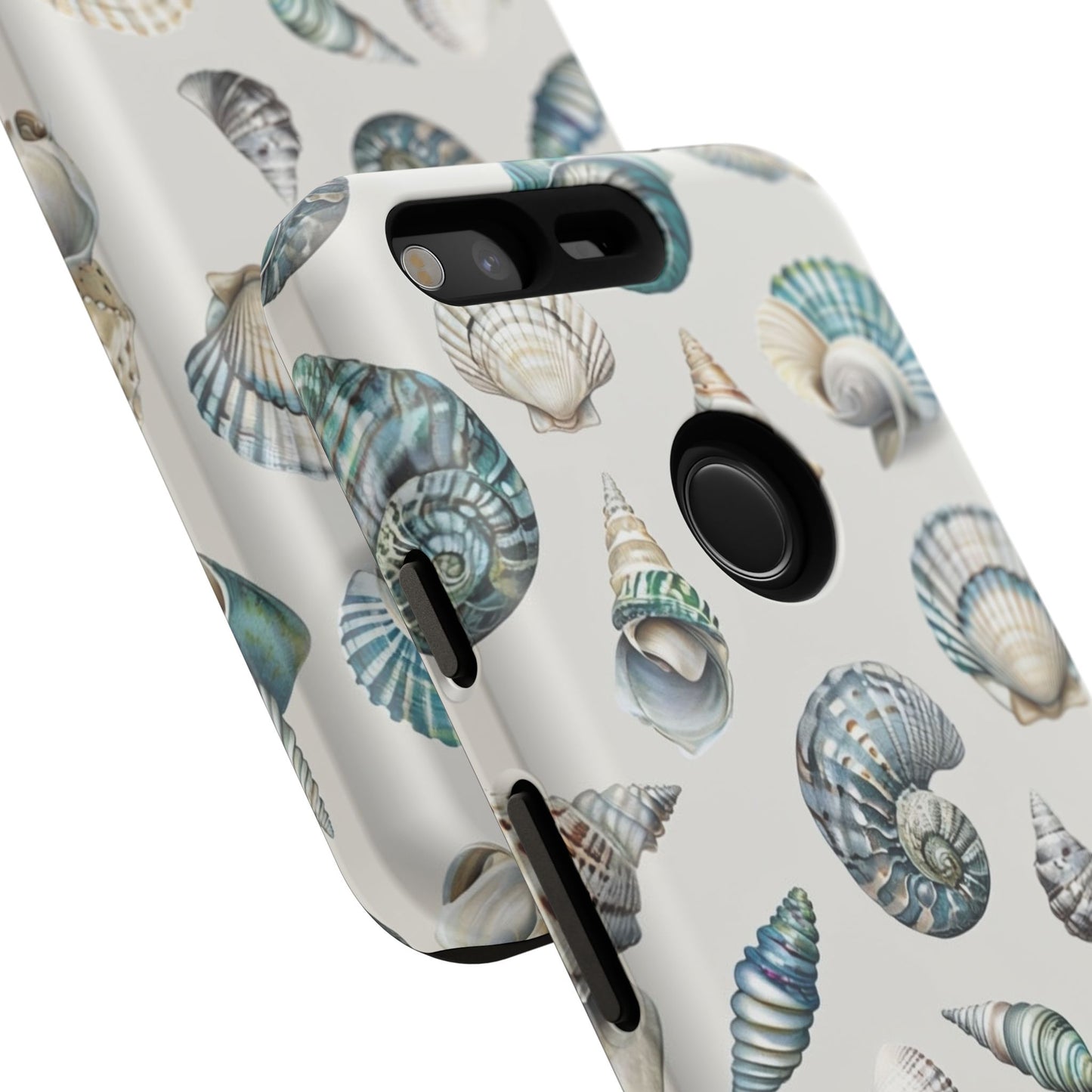 Sea Shells