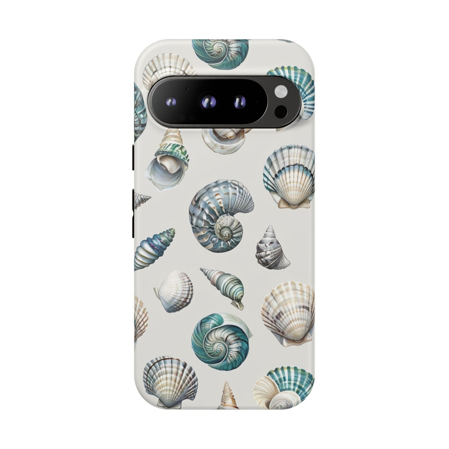 Sea Shells