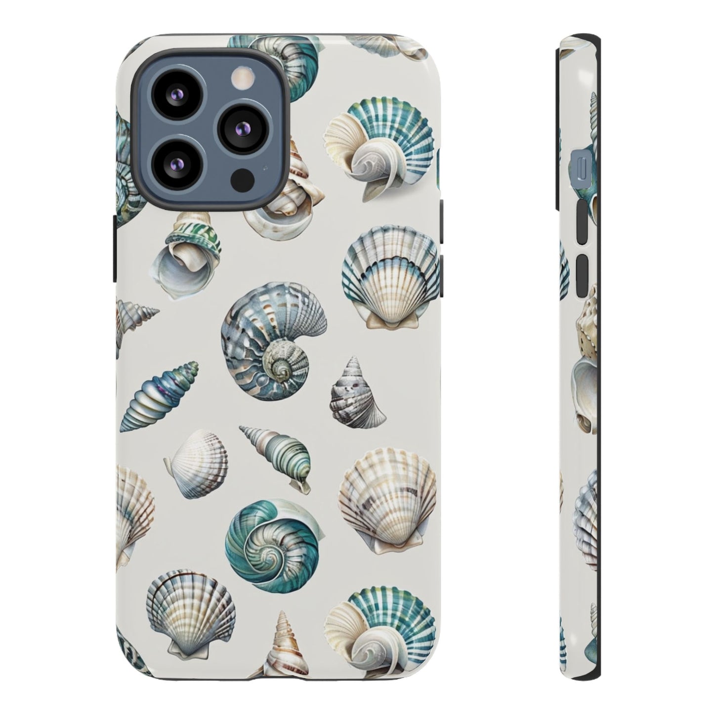 Sea Shells