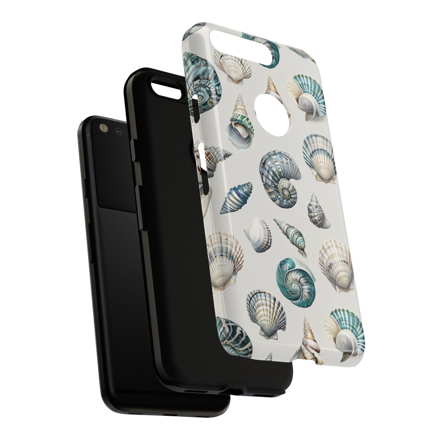 Sea Shells