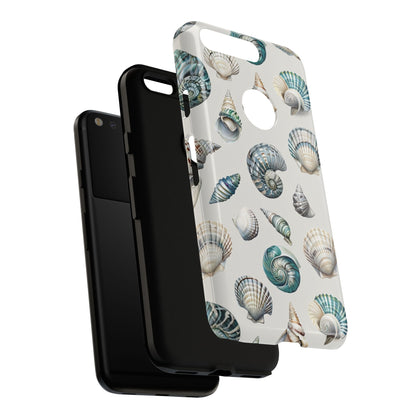 Sea Shells