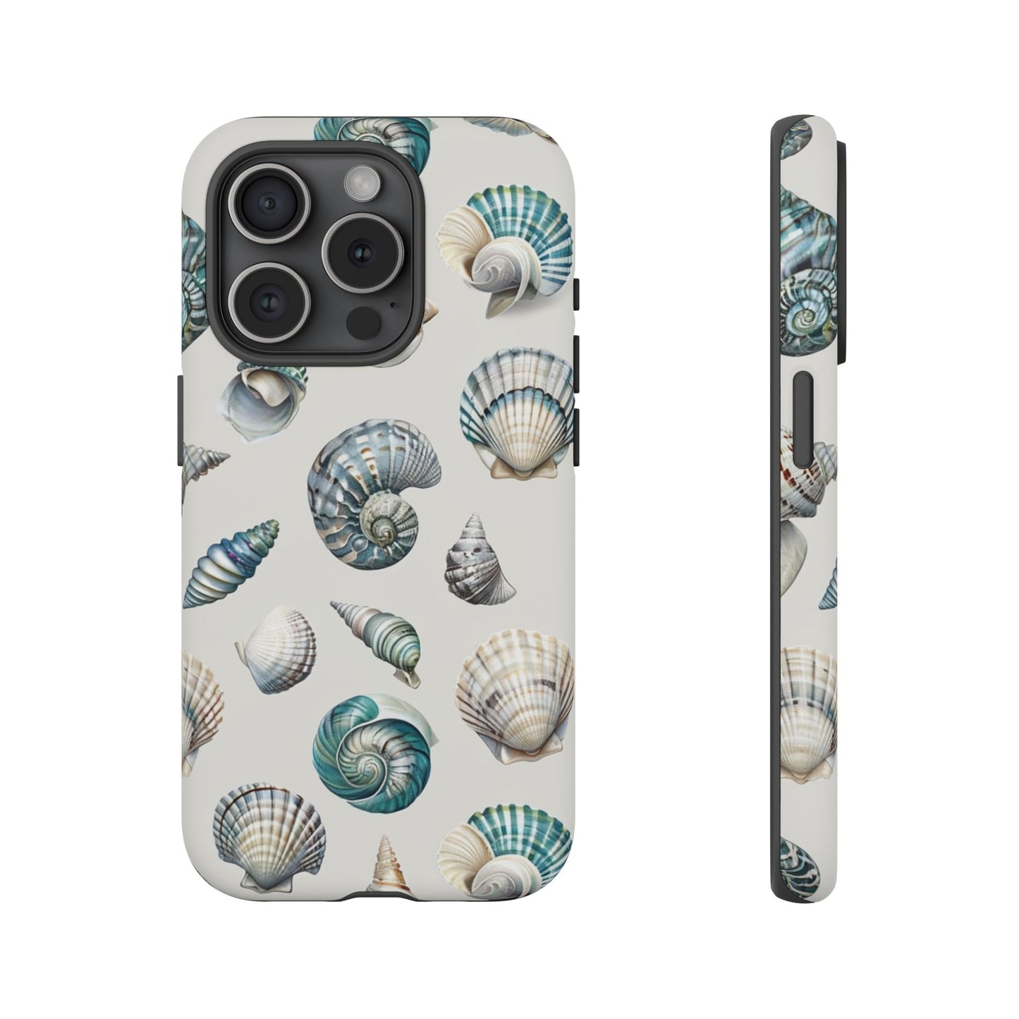 Sea Shells