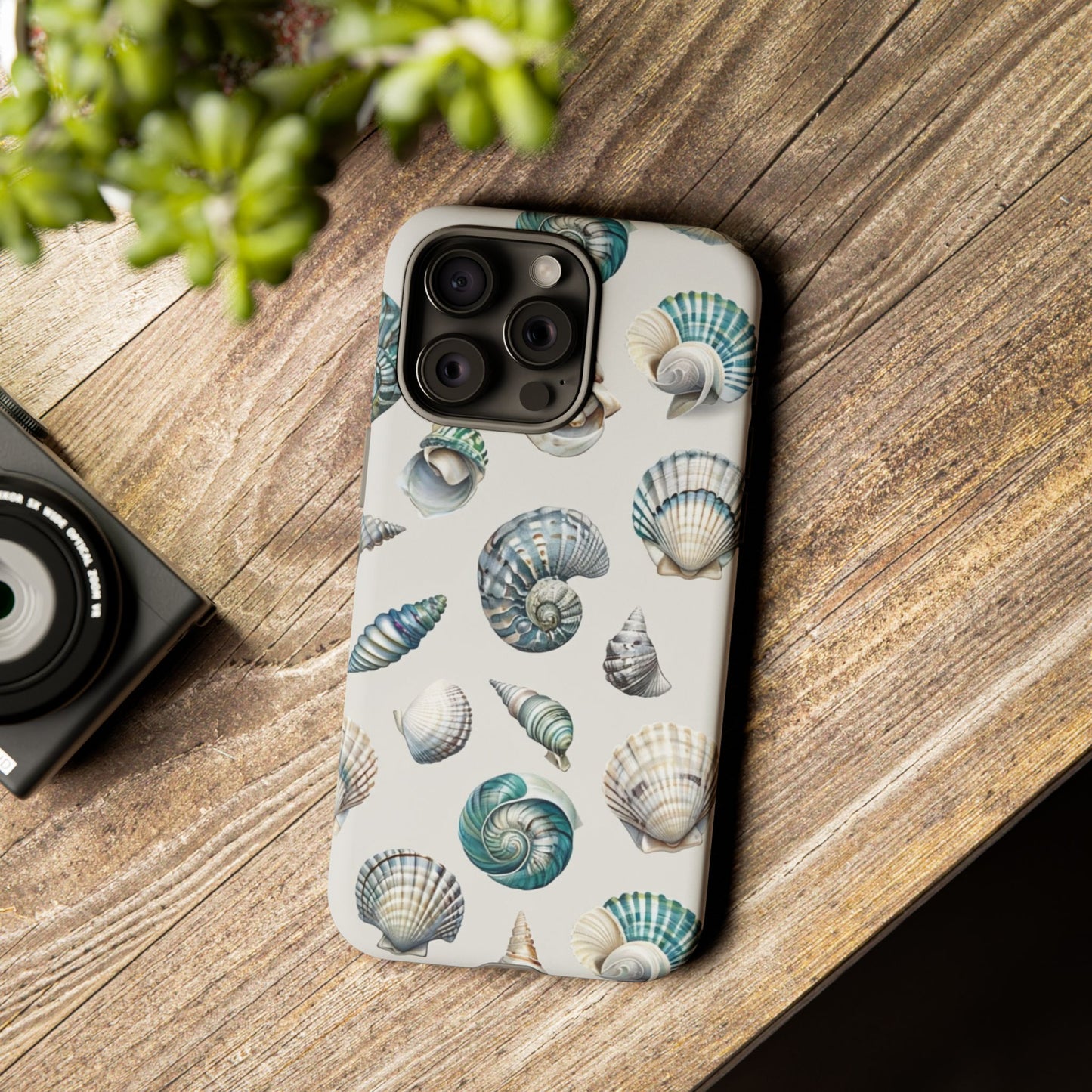 Sea Shells