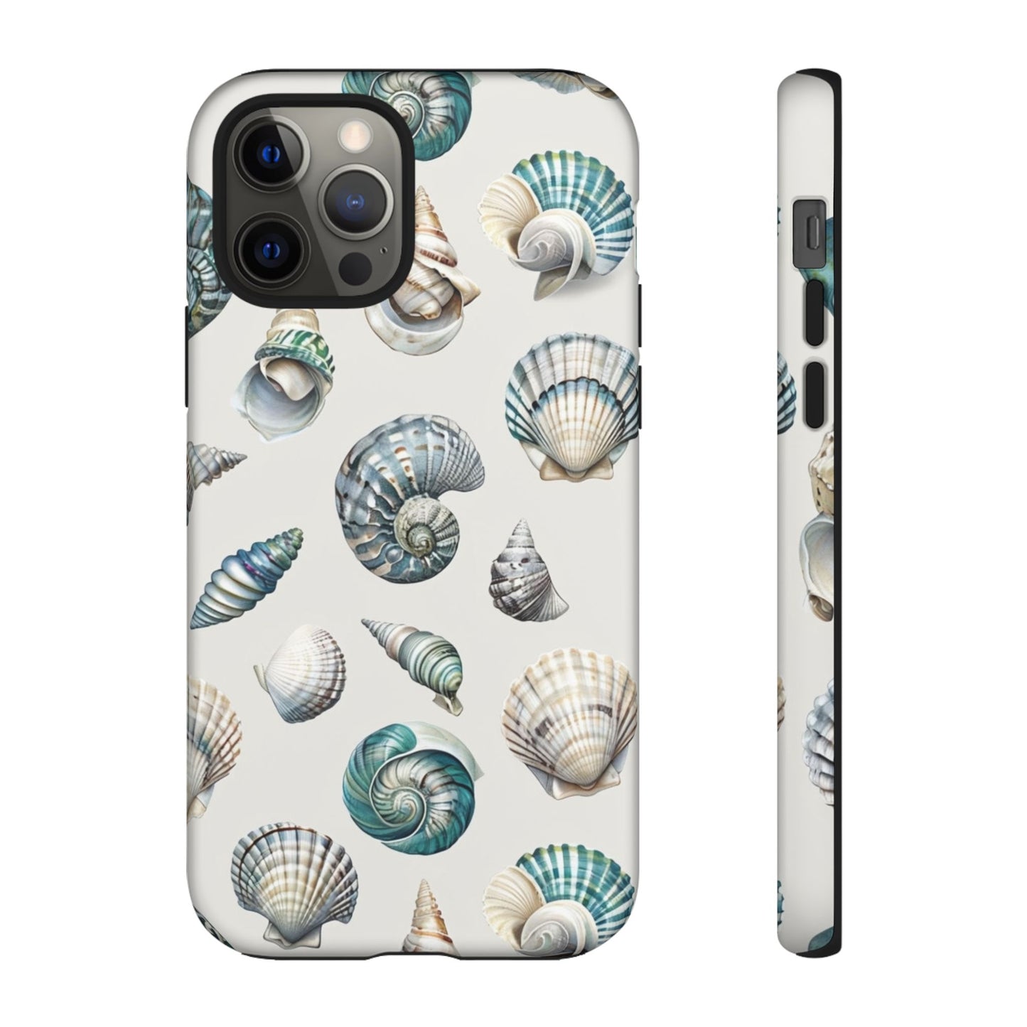 Sea Shells