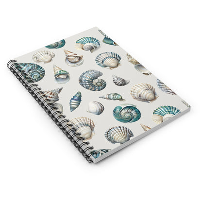 Sea Shells