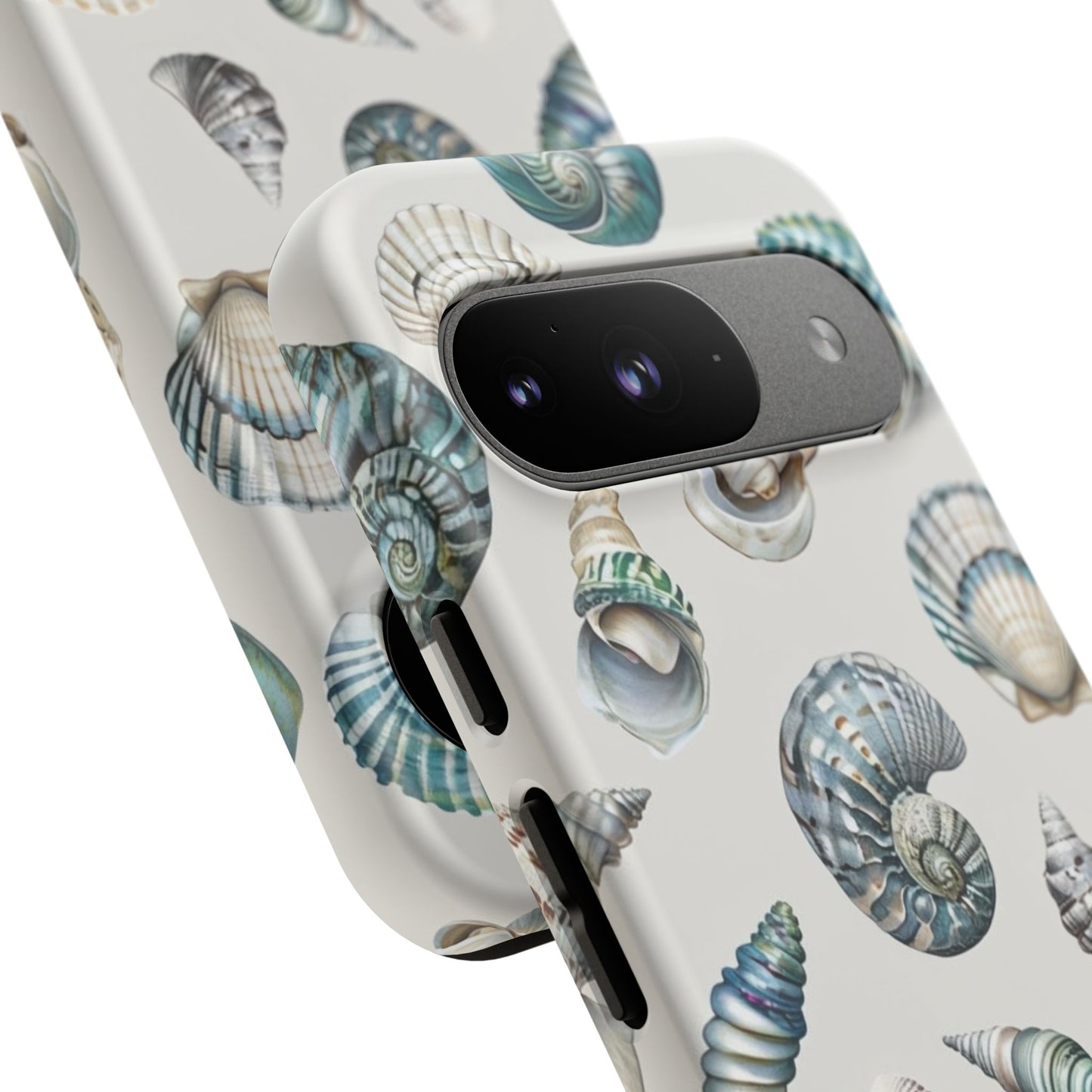 Sea Shells
