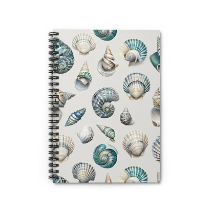 Sea Shells
