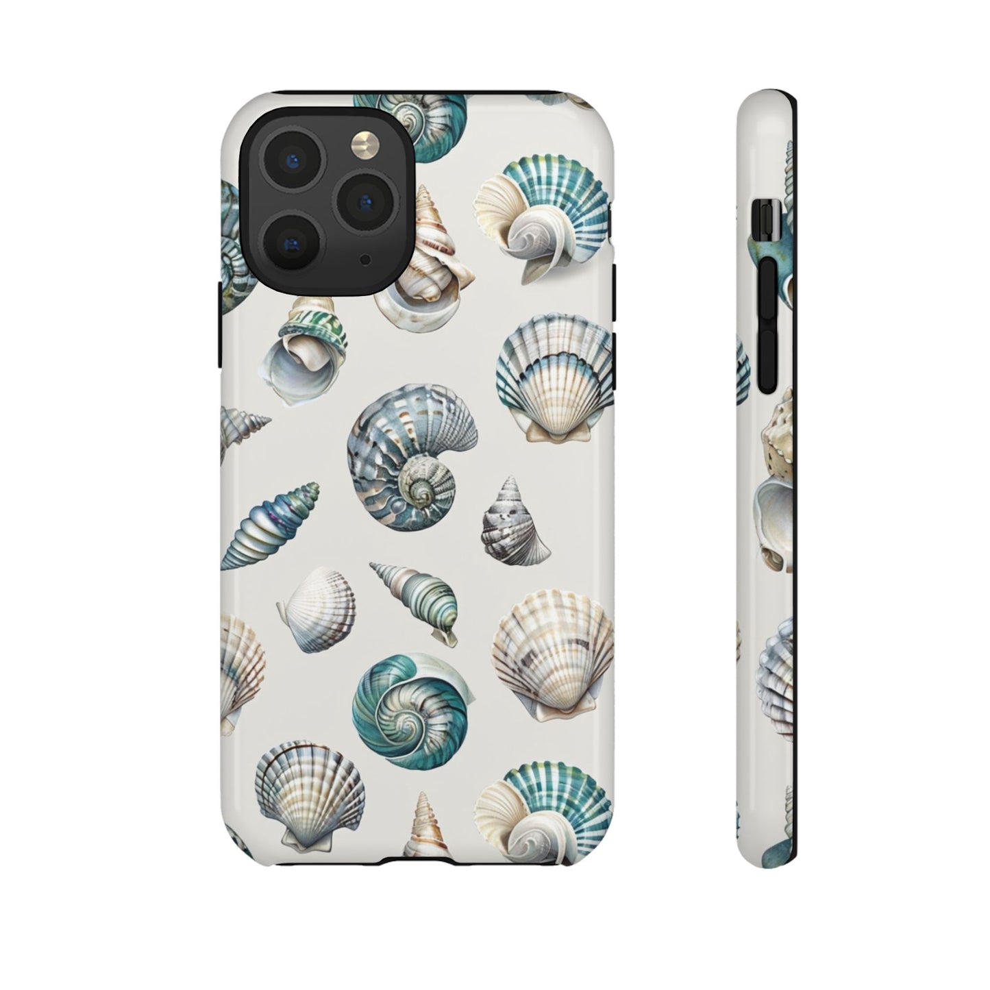 Sea Shells