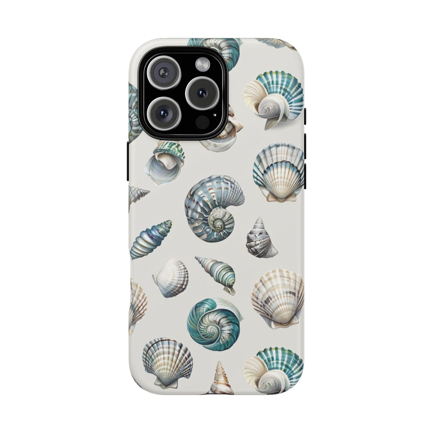 Sea Shells
