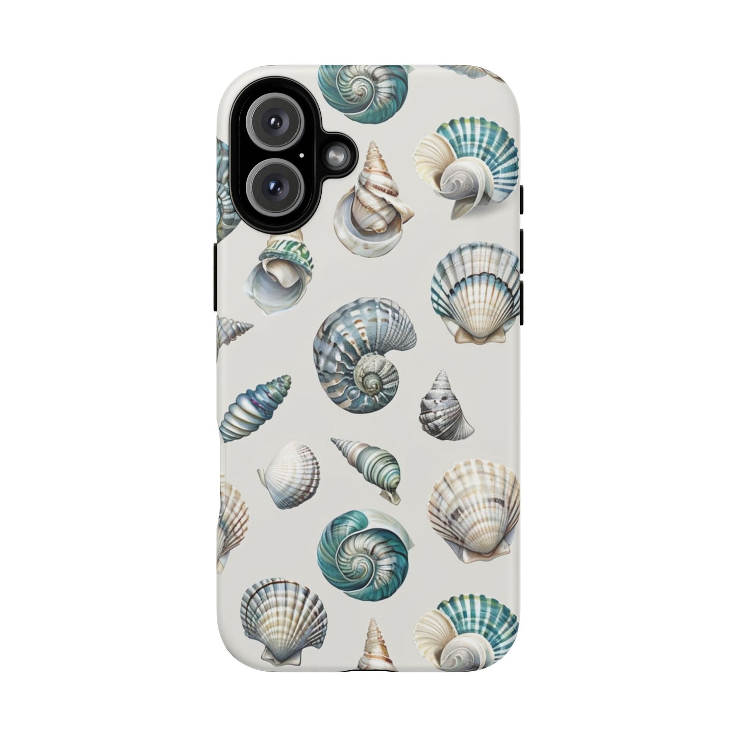 Sea Shells