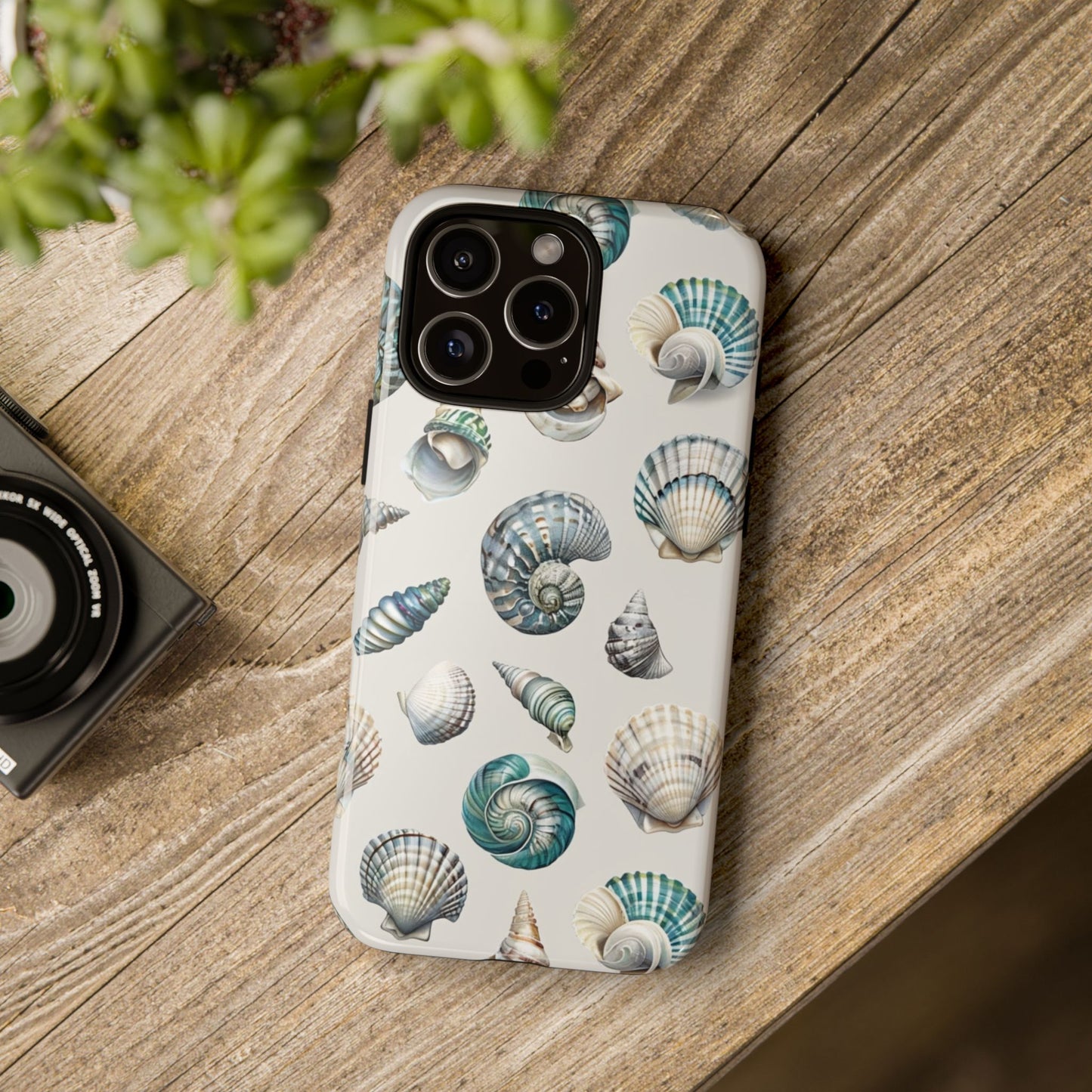 Sea Shells