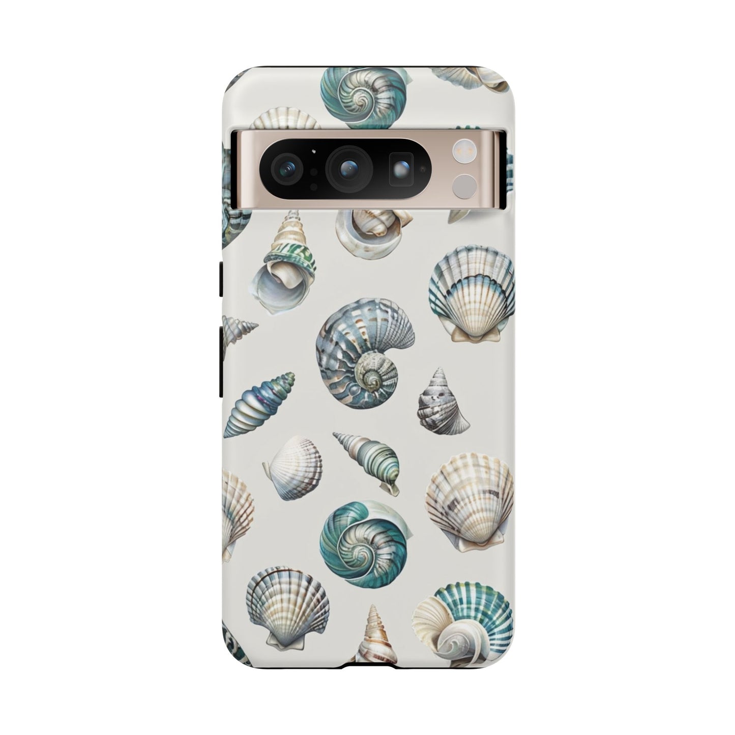 Sea Shells