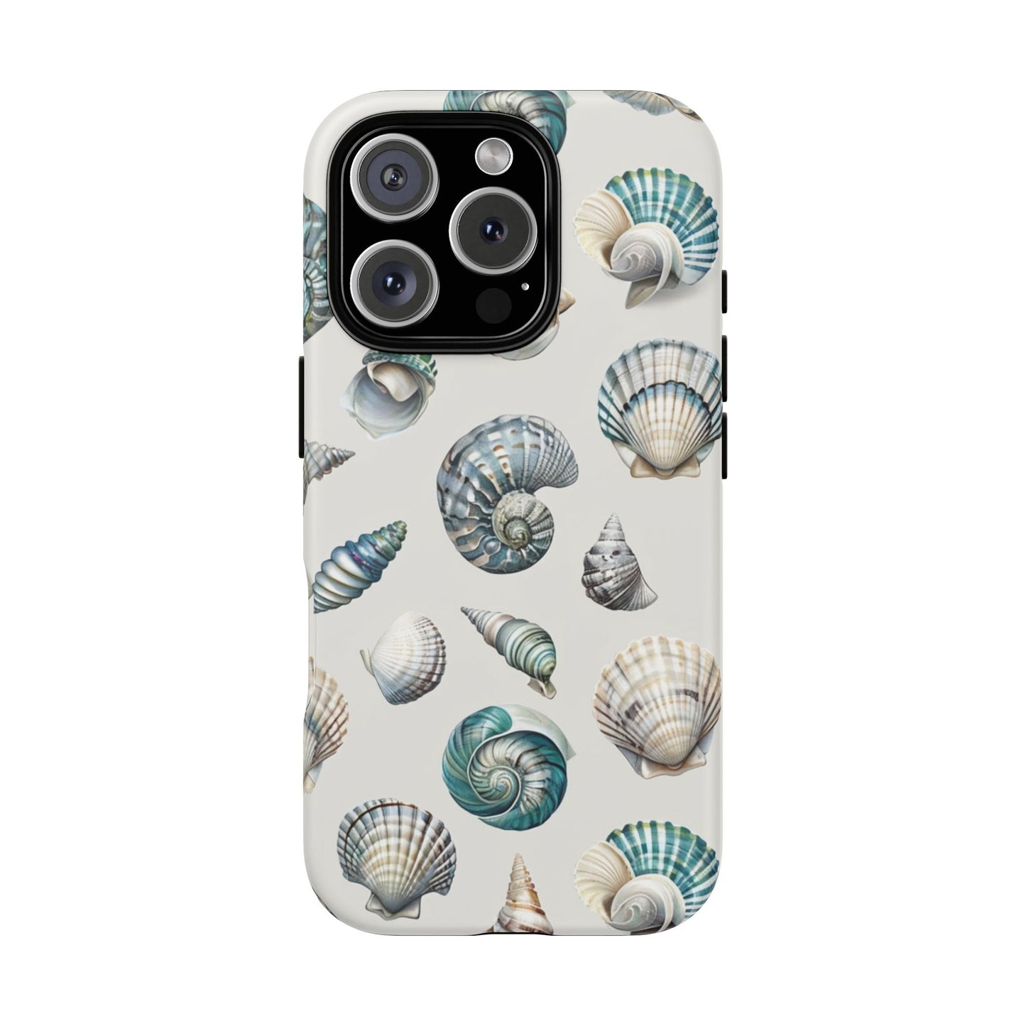 Sea Shells