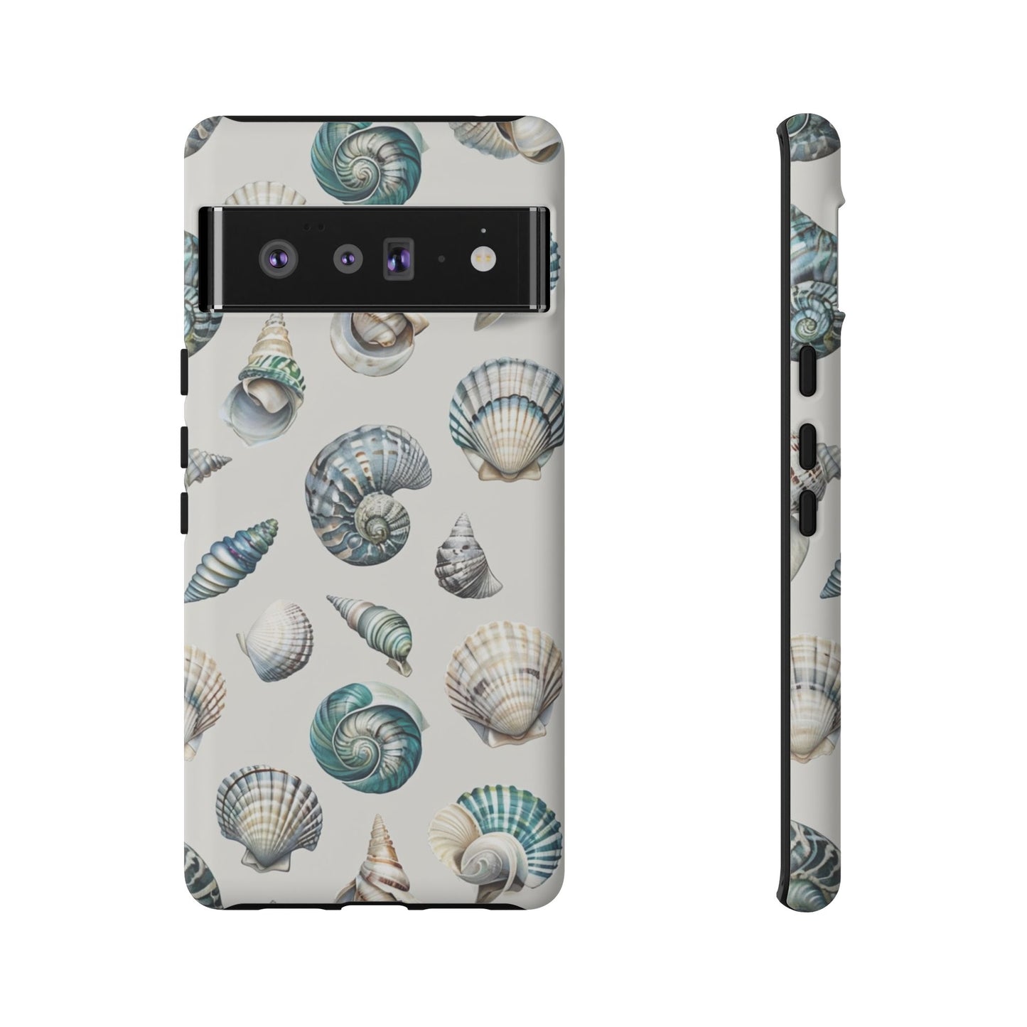 Sea Shells