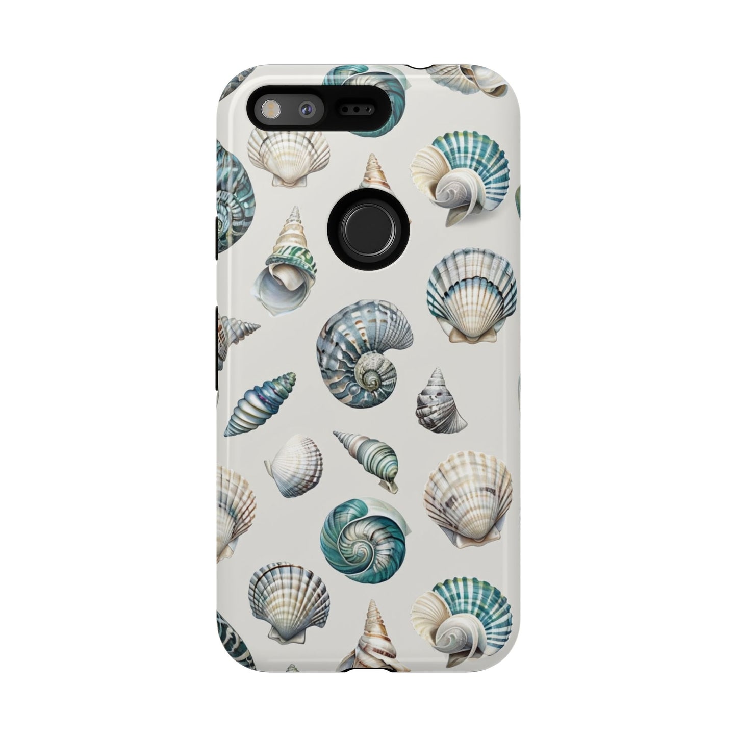 Sea Shells