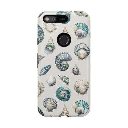 Sea Shells