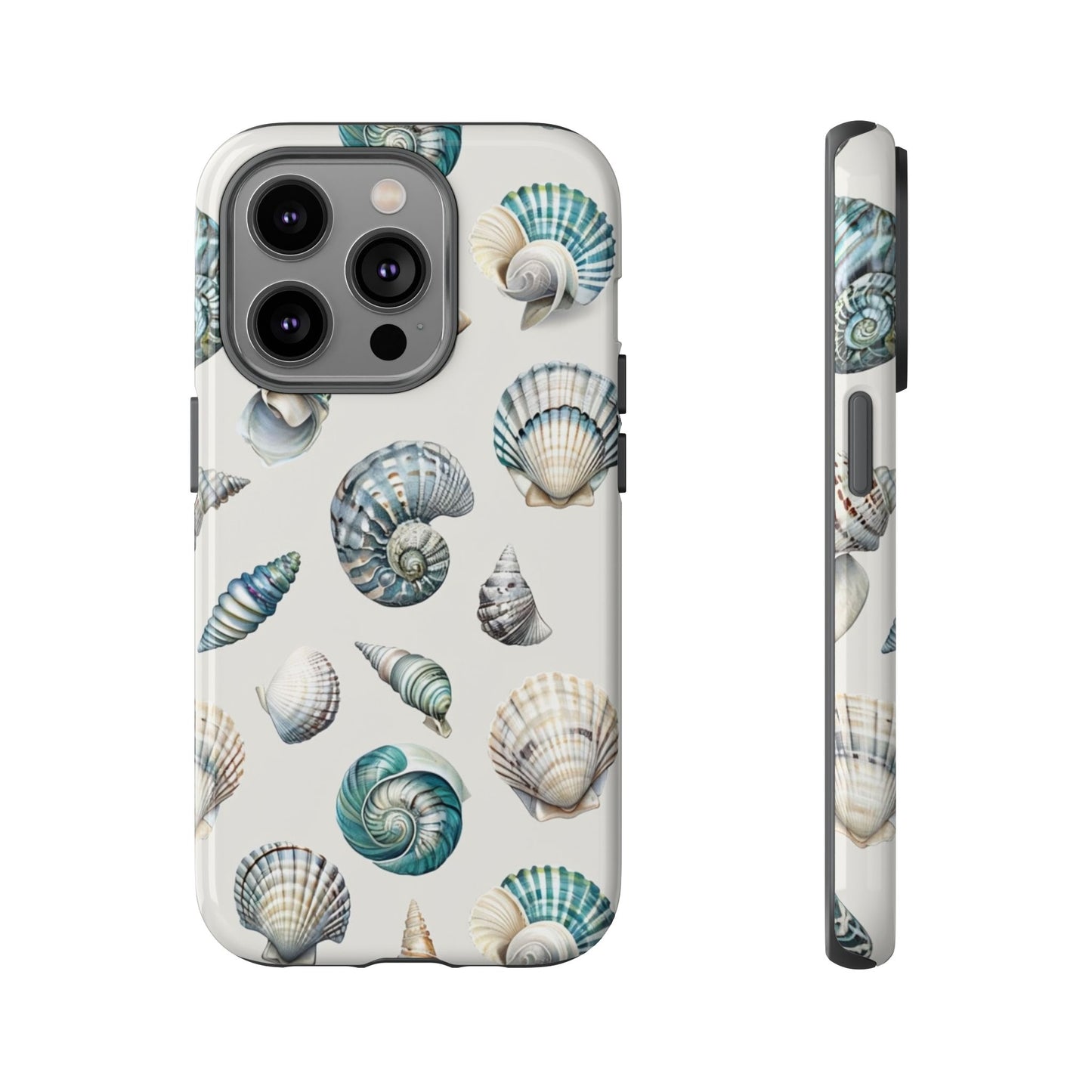 Sea Shells