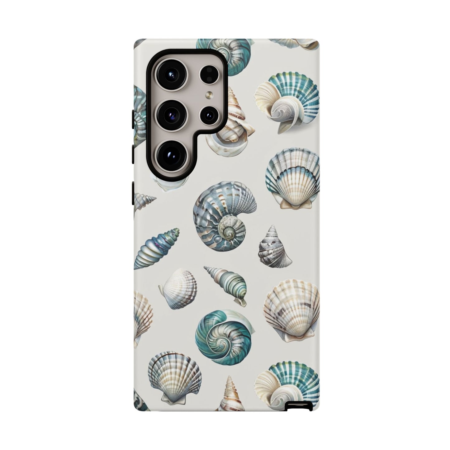 Sea Shells