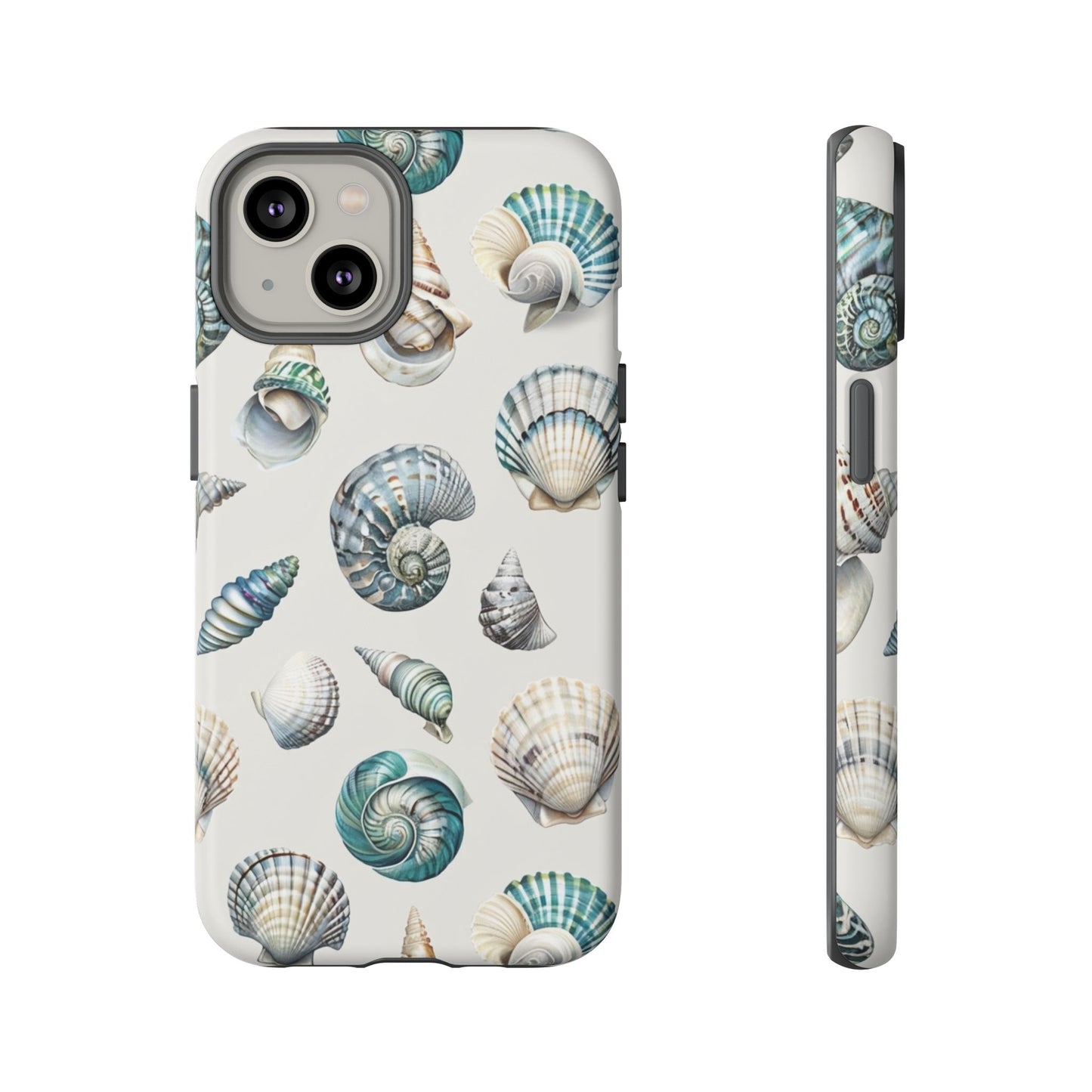 Sea Shells