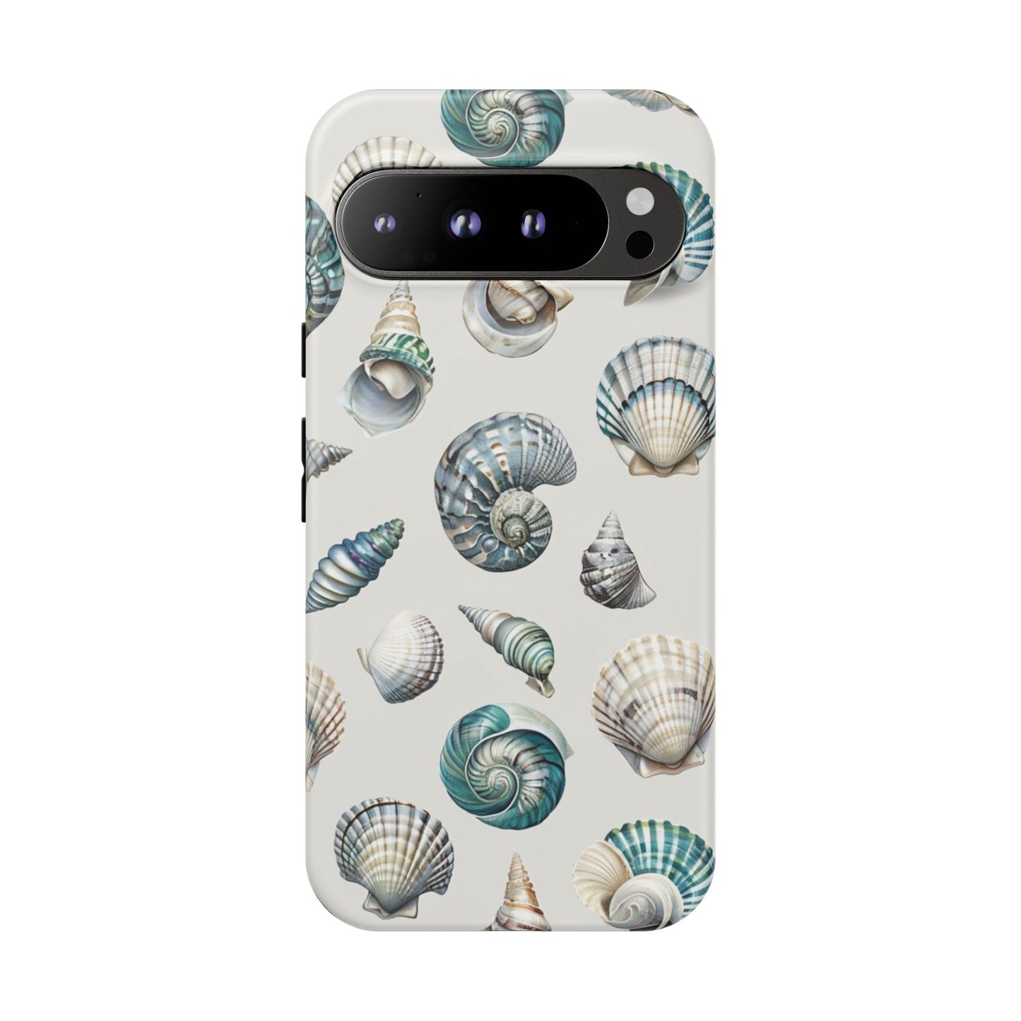 Sea Shells