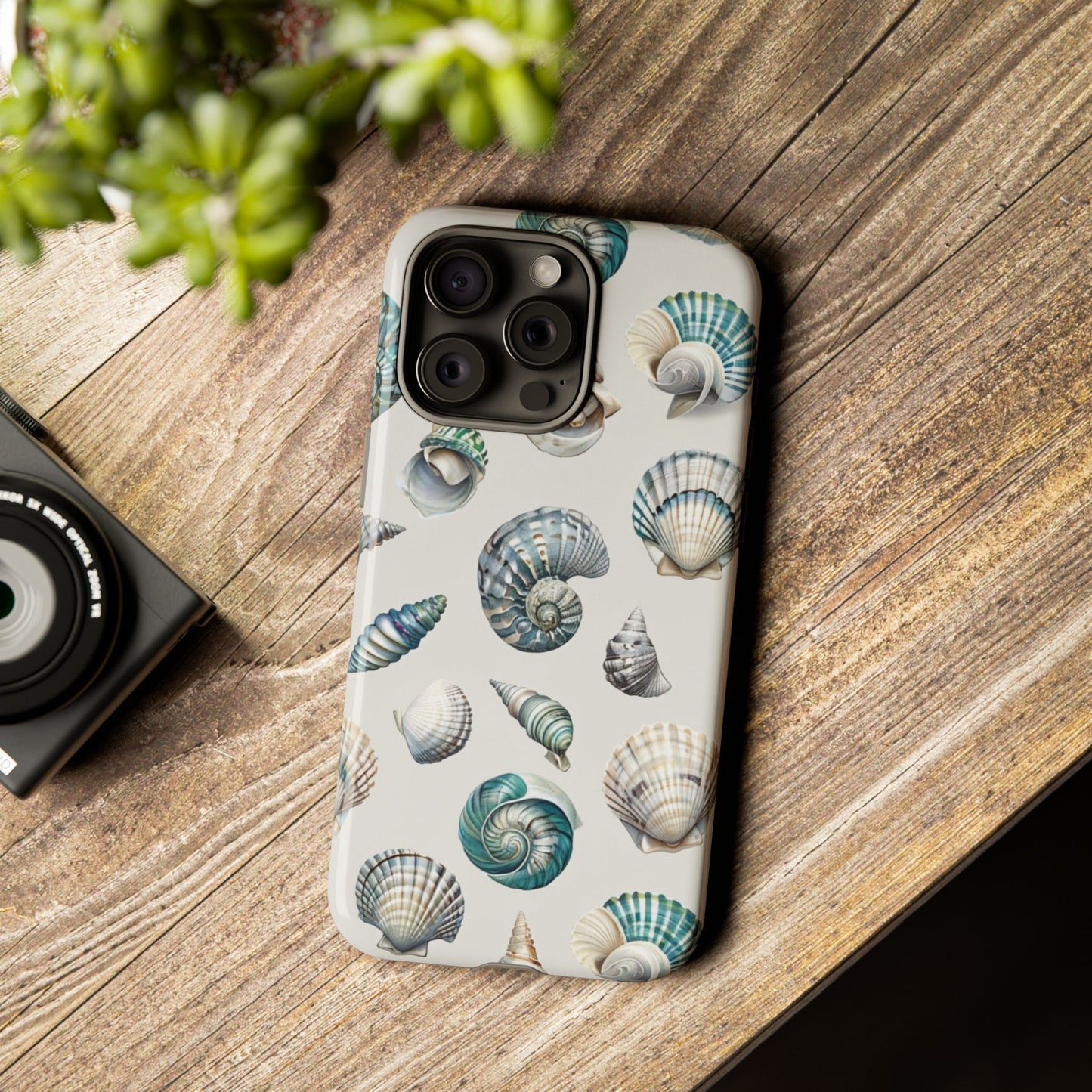 Sea Shells