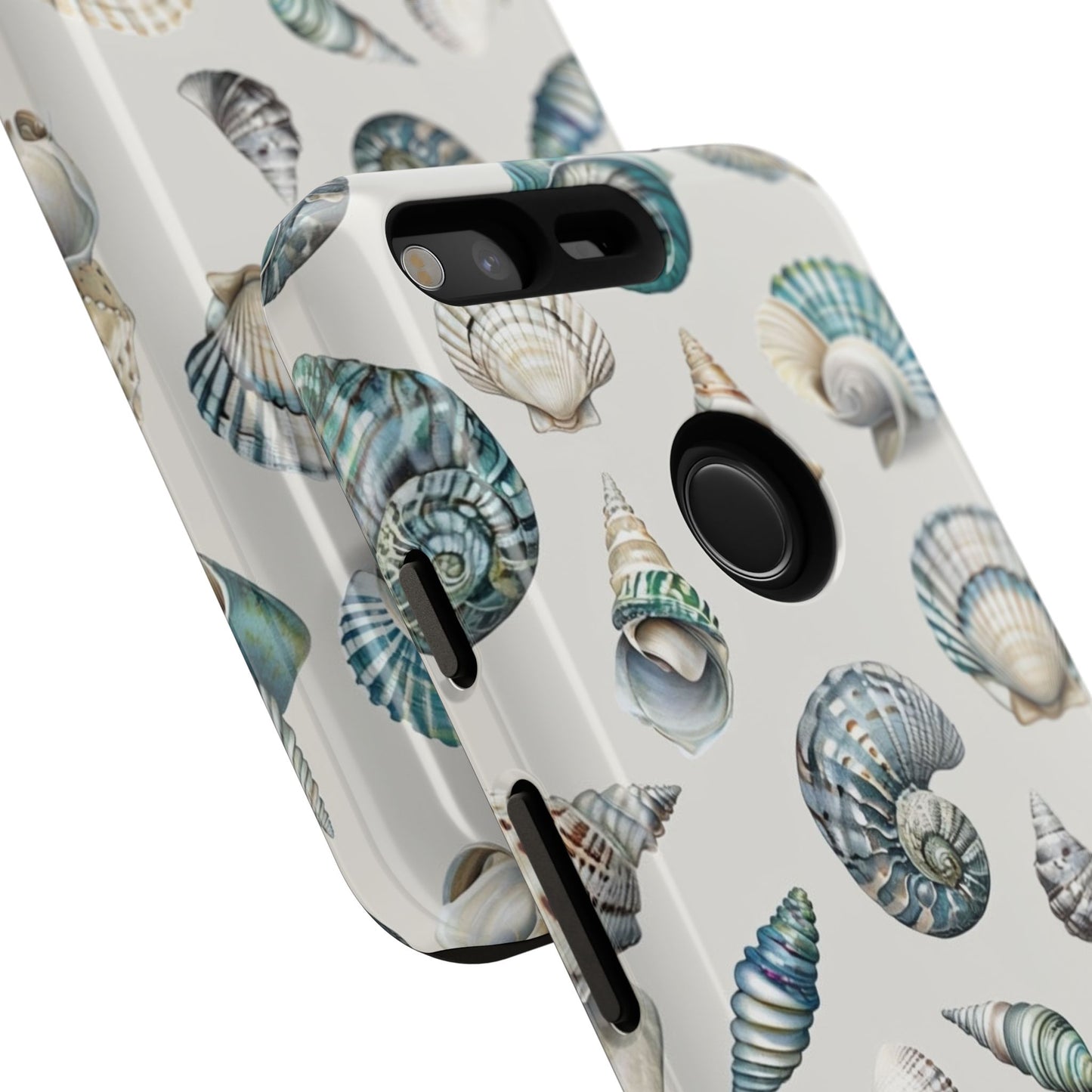 Sea Shells