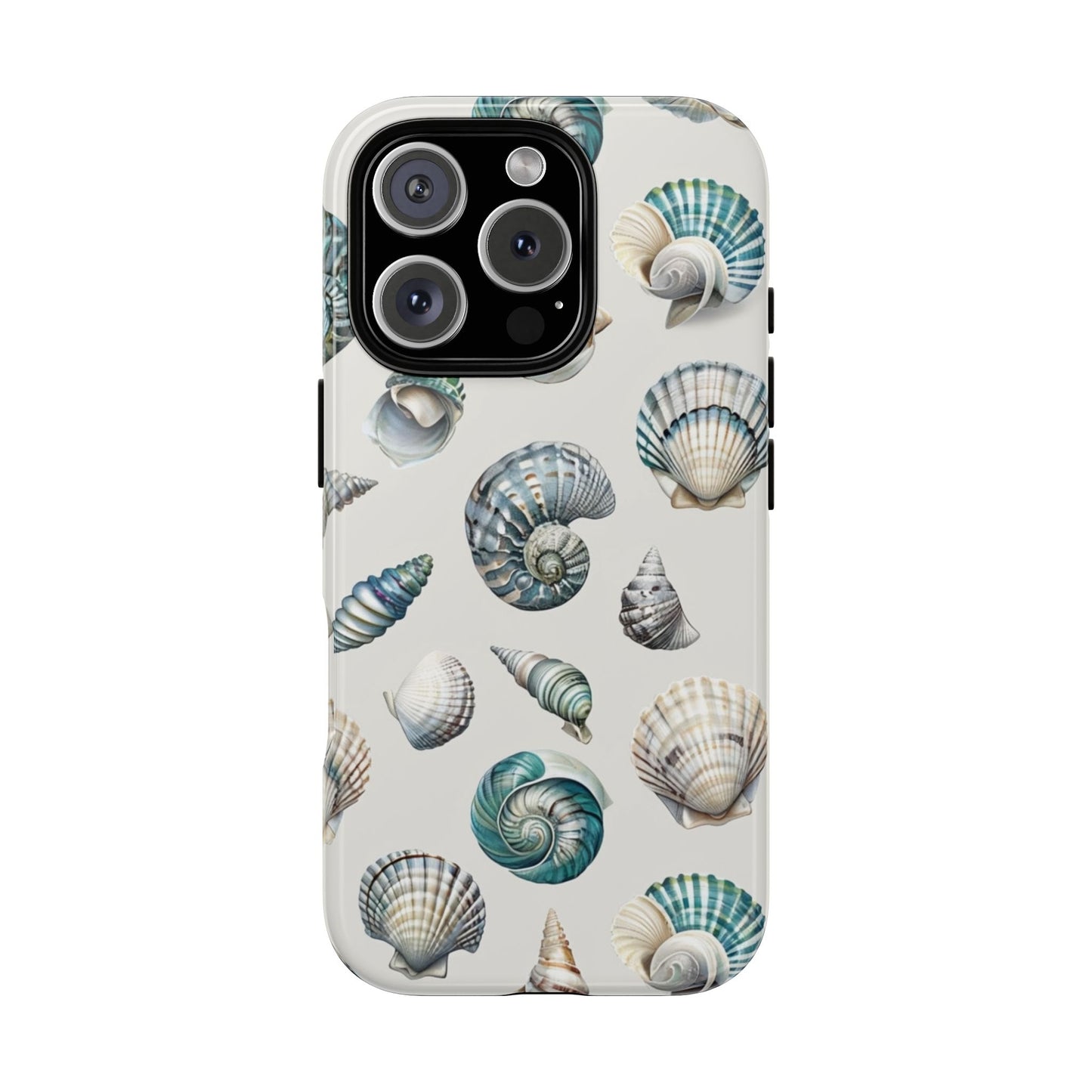 Sea Shells