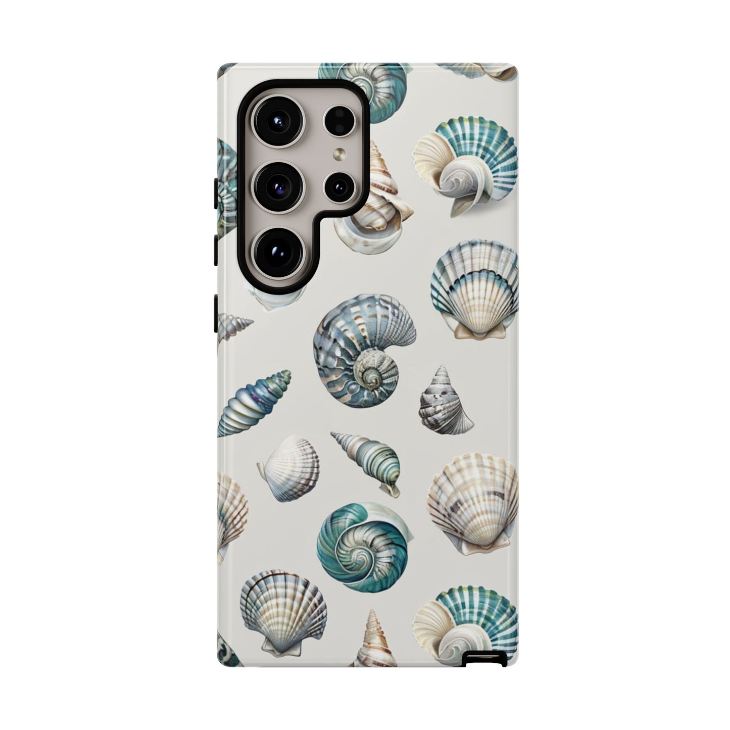 Sea Shells