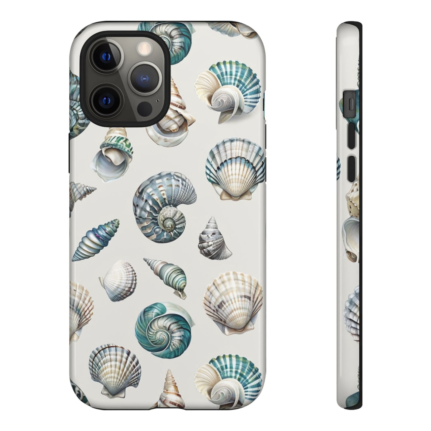 Sea Shells