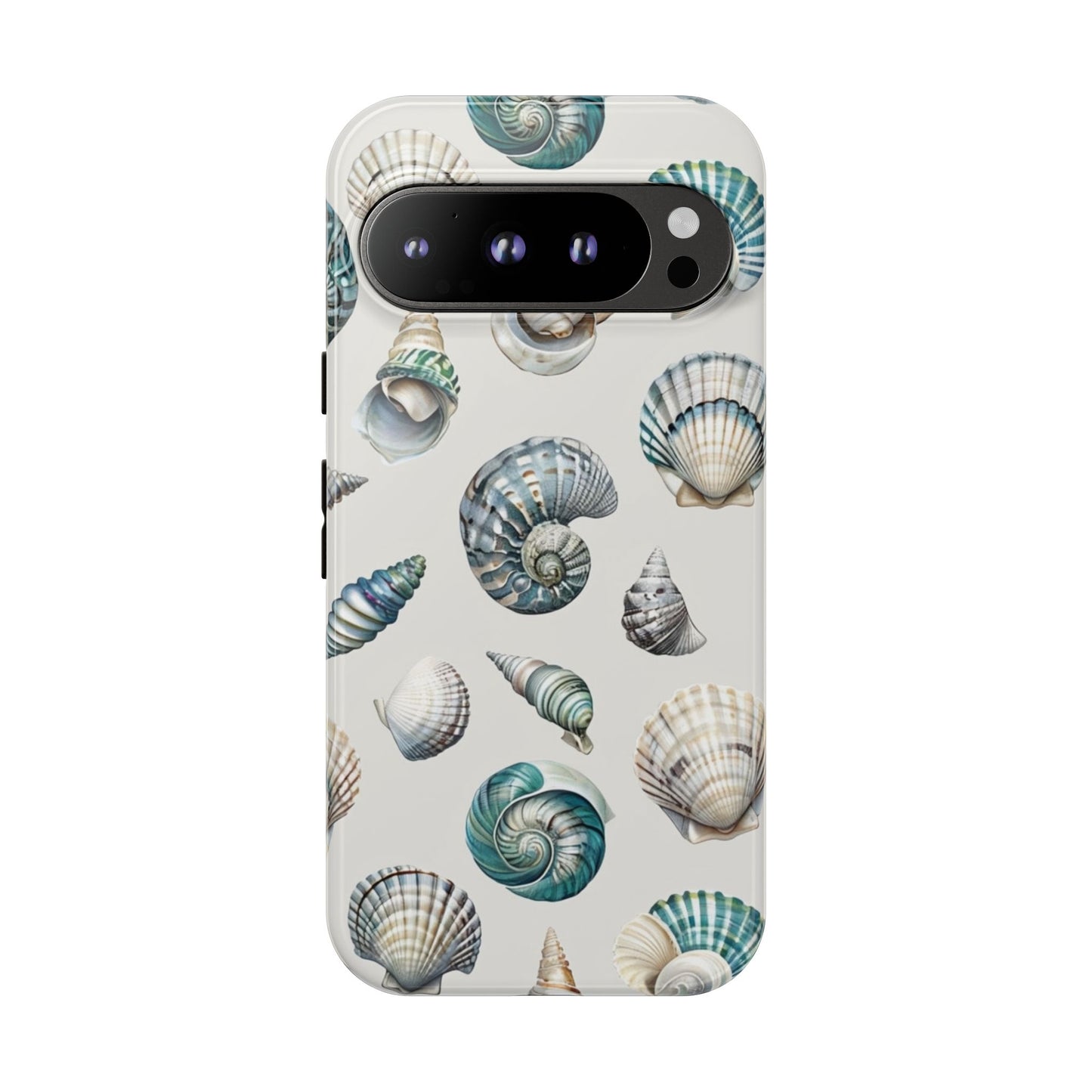 Sea Shells