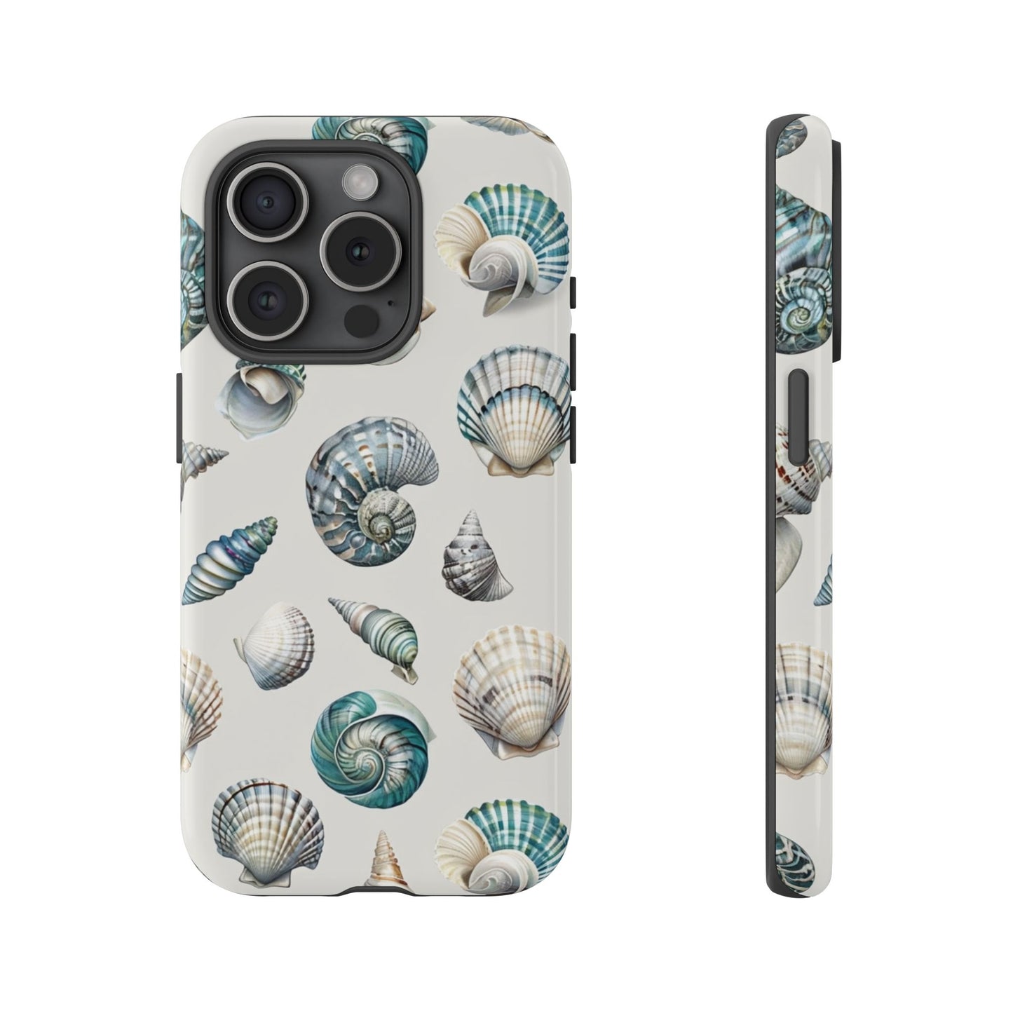Sea Shells