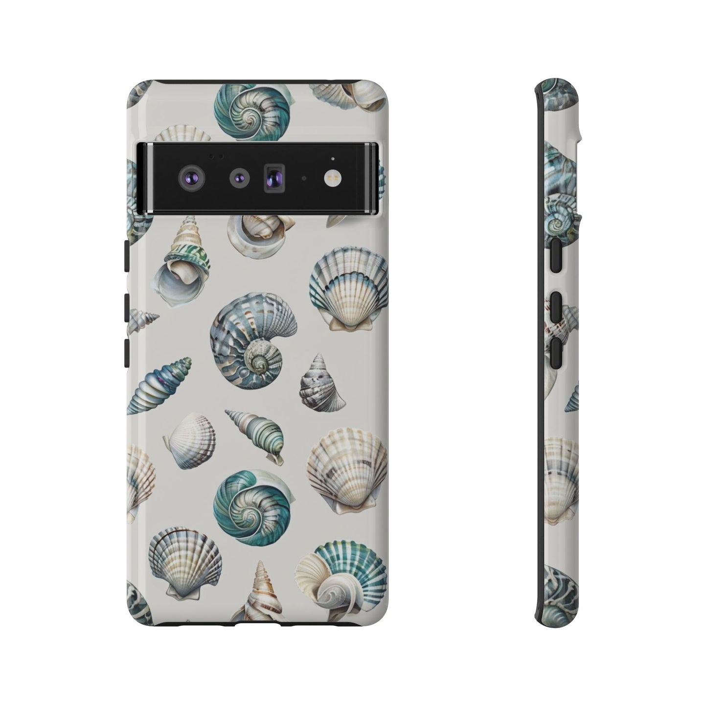 Sea Shells