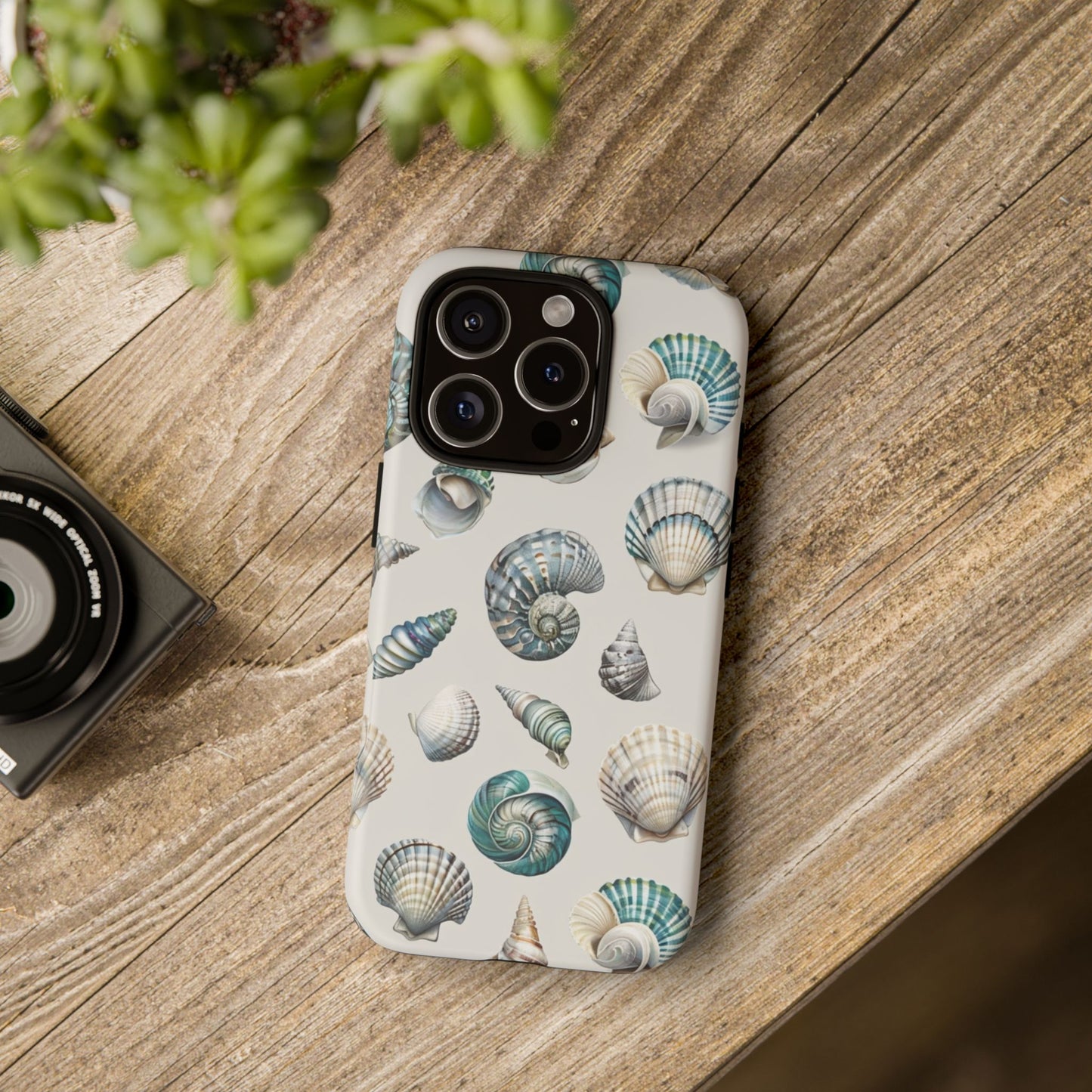 Sea Shells