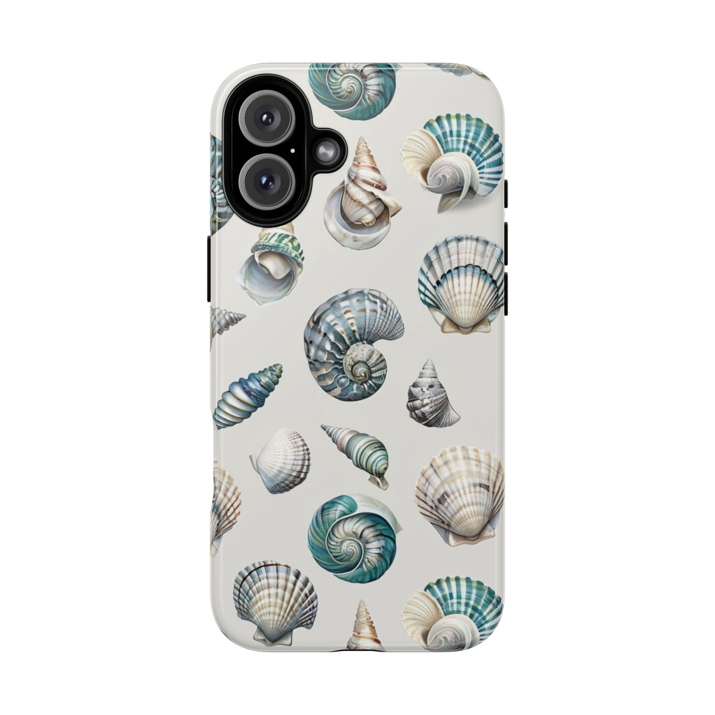 Sea Shells