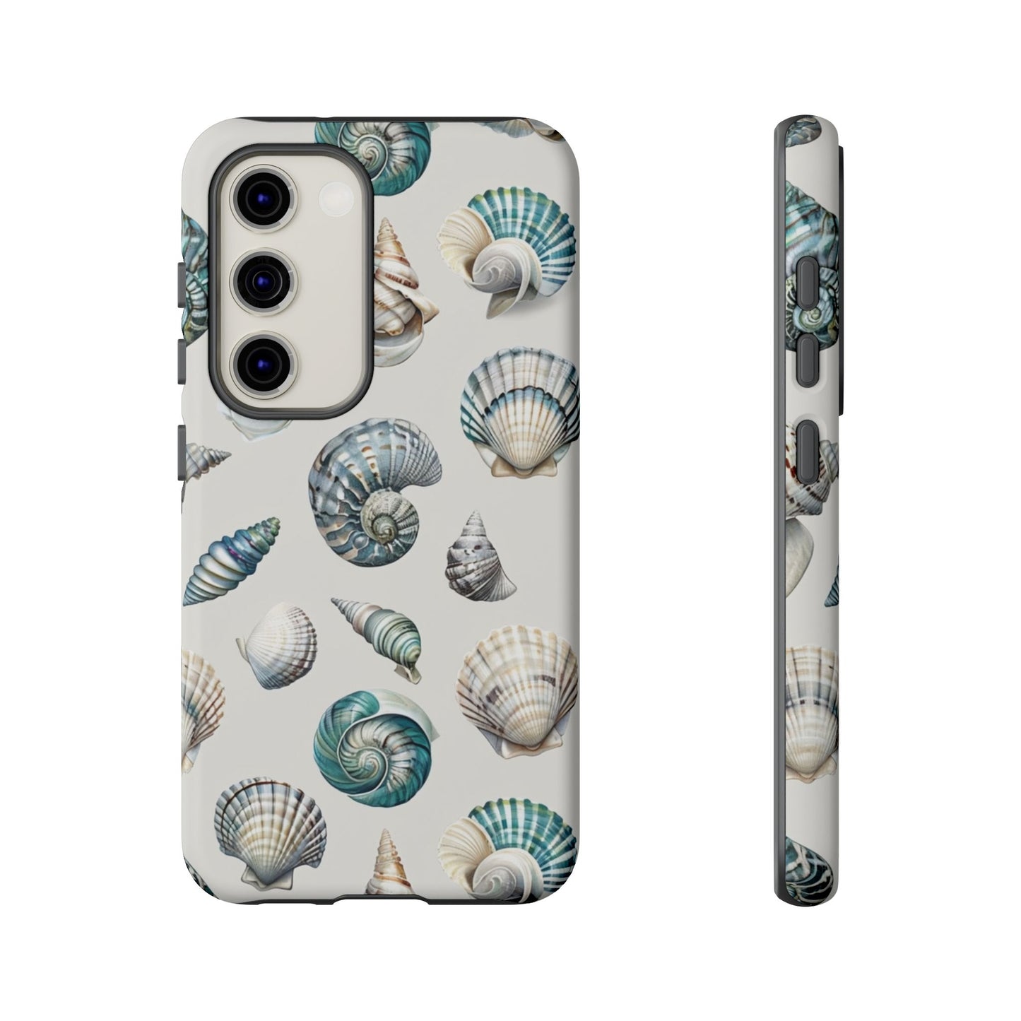 Sea Shells