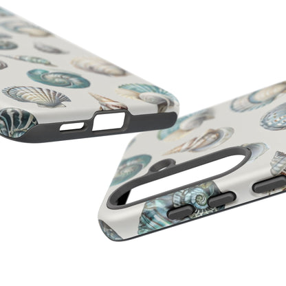 Sea Shells