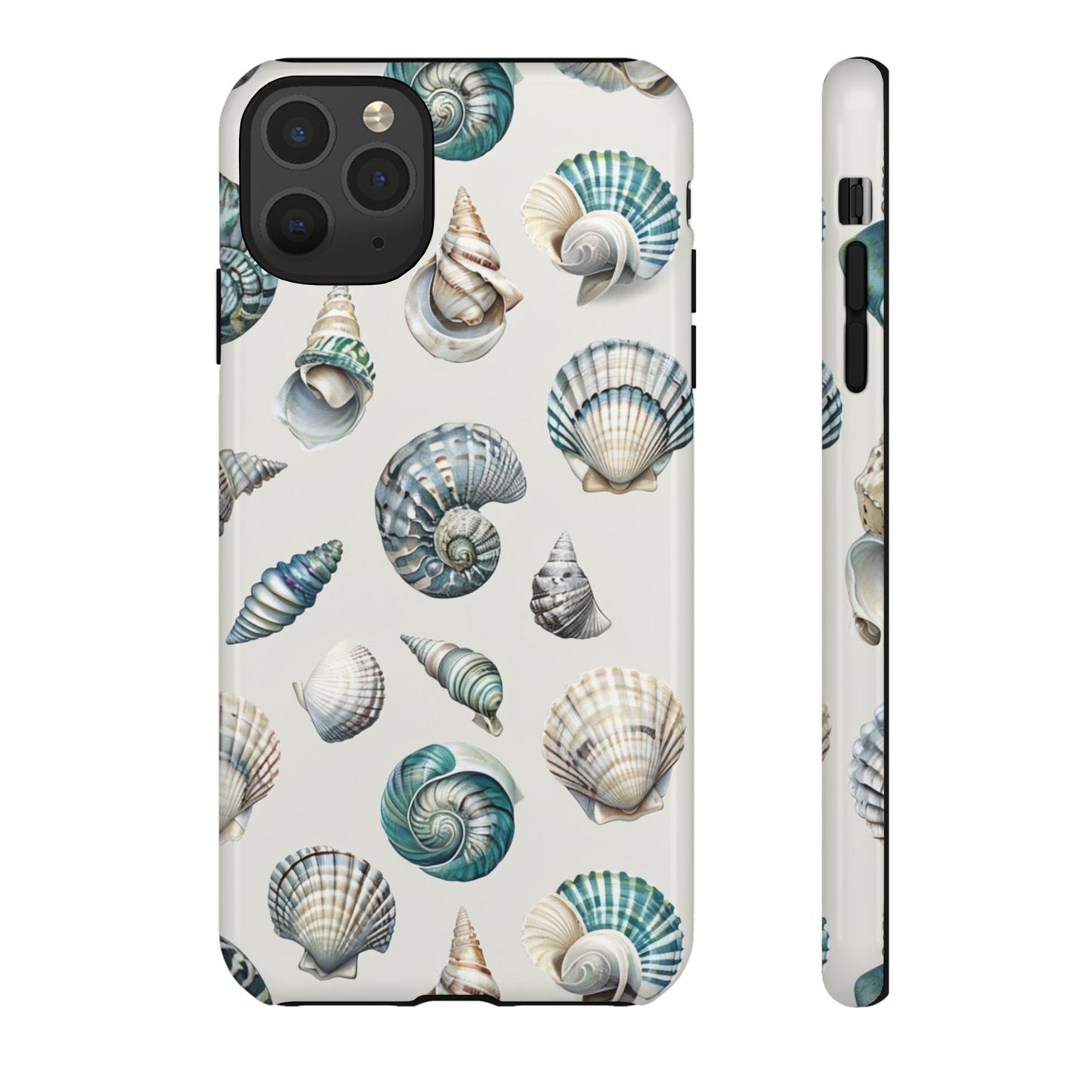 Sea Shells